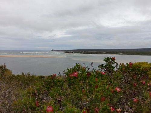 view of the bar where the sea and the breede river meet